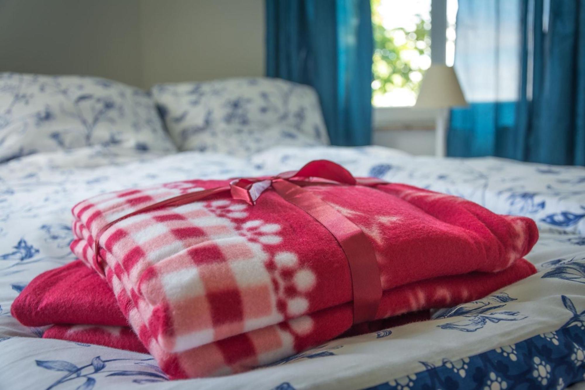 Ferienwohnung Fischersfru Flensburg Bagian luar foto